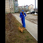 thumb_julleeten8jliom.jpg