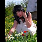 thumb_lillik65b.jpg