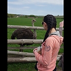 thumb_maryskoroh24a0y46.jpg