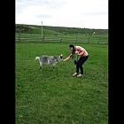 thumb_maryskoroh257el9d.jpg