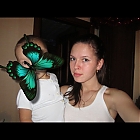 thumb_nicelily797a43d56.jpg