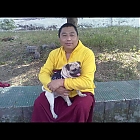 thumb_tengyal2003cc40ej.jpg