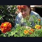 thumb_zari2132_mutter7uu0e.jpg
