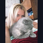 thumb_zari2132gf6it1.jpg