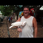 thumb_Jerry-coby11d.jpg