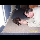 thumb_elvislomara3.jpg