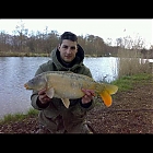 thumb_nickrobert32a.jpg