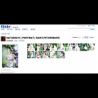 thumb_chayka_oksana_Natasha_Flickr.jpg