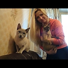 thumb_singledasha26.jpg