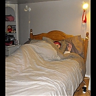 fineloyalgirl5.jpg