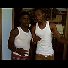 thumb_irenedogbe51_sonstiges4.jpg