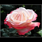 thumb_nadiamahin4000_sonstiges1.jpg