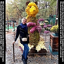thumb_mashablagorazumnaya6s2k47.jpg