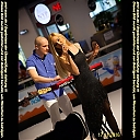 kilchik38ylfcf.jpg