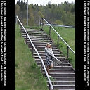 mariatravnikovallg.jpg