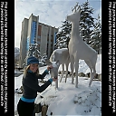 olgaperevalova546pcmv.jpg