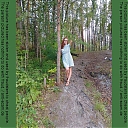 thumb_ru2009dvp.jpg