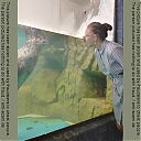 thumb_ru2009pvx.jpg